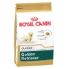 Royal Canin Golden Retriever Puppy Photo