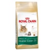 Royal Canin Maine Coon Adult Photo