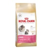 Royal Canin Persian Kitten 32 Photo