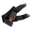 Safety Belt 2 Point Photo