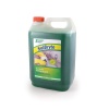 Solent 15 Percentage Washing Up Detergent 5 Liter Photo