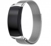 Fabulously Fit Samsung Gear Fit 2 Pro metallic strap Photo