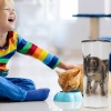 Bags Direct Eco Pet Storage Container with flip lid grey - cat design Photo