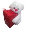 Seedleme Teddy Bear Gift Box "I Love You" by Photo