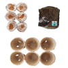Seedleme Cannabis Seedling germination and grow kit for seeds/cuttings by Photo
