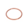 9ct Rose Gold 22Ga 6mm Nose Ring Photo