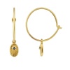 Gold Plated Silver Star 15mm Charm Hoops Photo