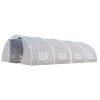 Greenhouse Tunnel - 4m x 3m x 2m Photo