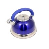 3.0L Stainless Steel Whistling Kettle - Blue Photo