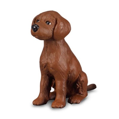 Photo of Collecta Cats&Dogs-Irish Red Setter Puppy - S