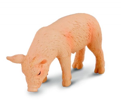 Photo of Collecta Farmlife-Piglet Eating - S