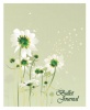 RBE : Bullet Journal – Summer Photo