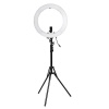 18" Dimmable LED Ring Light Lamp Photo