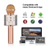 Fervour Wireless Portable Bluetooth Karaoke Microphone Photo