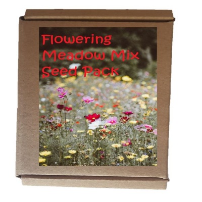 Photo of Seedleme Flowering Meadow Mix Seed Box - Create Your Own Flower Garden Meadow
