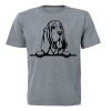 Peeking Bloodhound - Adults - T-Shirt - Grey Photo