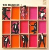 Bamboos - 4 Photo