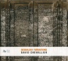 David Chevallier - Gesualdo Variations Photo
