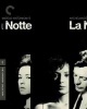 Criterion Collection: La Notte Photo