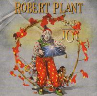 Photo of DECCAROUNDER Robert Plant - Band of Joy