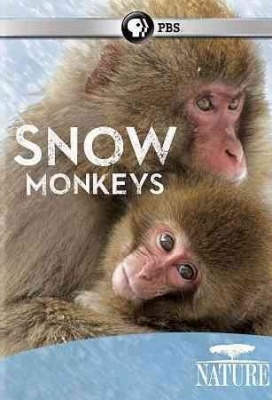 Photo of Nature: Snow Monkeys