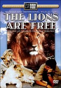 Photo of Lions Are Free