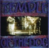 Am Temple of the Dog Photo