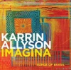 Karrin Allyson - Imagina: Songs of Brasil Photo