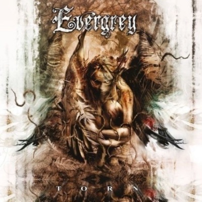 Photo of Steamhammer Europe Evergrey - Torn
