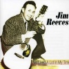 Fabulous Jim Reeves - I'Ve Lived a Lot In My Time Photo