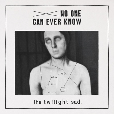 Photo of Fat Cat Twilight Sad - No One Can Ever Know