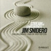 Savant Jim Snidero - Stream of Consciousness Photo