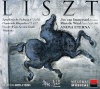 Zig Zag Territories Liszt / Anima Eterna / Immerseel - Totentanz Photo