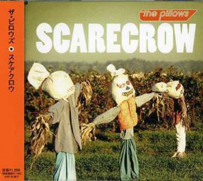 Photo of Imports Pillows - Scarecrow