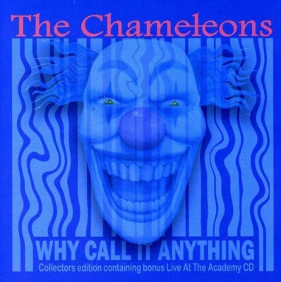 Photo of Blue Apple Music UK Chameleons - Why Call It Anything