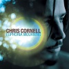 AM Records Chris Cornell - Euphoria Mourning Photo