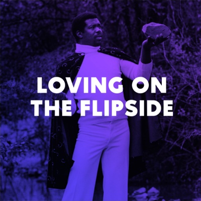 Photo of Now Again Loving On the Flipside / Various