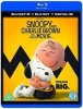 Snoopy and Charlie Brown - The Peanuts Movie Photo