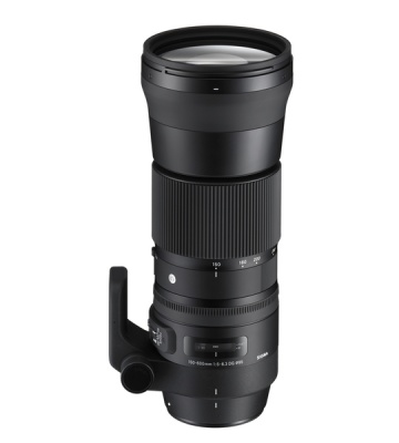 Photo of Sigma Lens 150-600/F5-6.3 DG OS HSM AF Nikon Contemporary