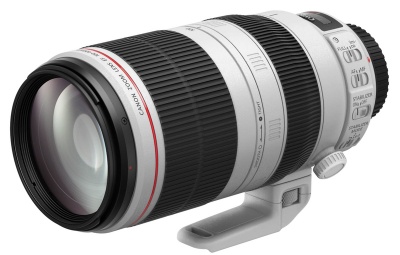 Photo of Canon EF 100 - 400 mm F 4.5 - 5.6 L IS Mk 2 USM Zoom Lens