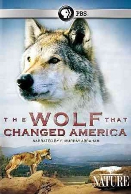 Photo of Nature:Wolf That Changed America