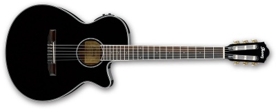 Photo of Ibanez AEG10NII-BK AEG Series Nylon Acoustic Electric Guitar