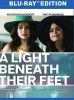 Light Beneath Their Feet Photo