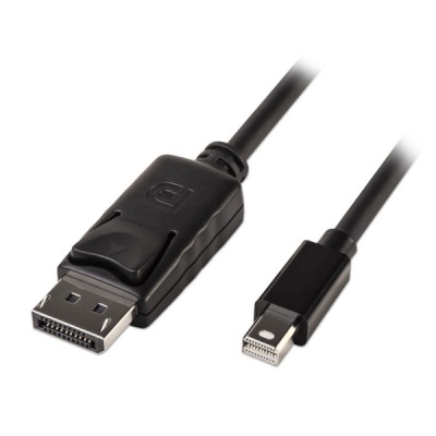 Photo of Lindy 2m Mini Displayport to Dispplayport Cable - Black
