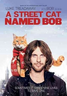 Photo of Street Cat Named Bob