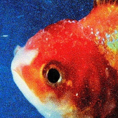 Photo of VIRGIN Vince Staples - Big Fish Theory