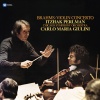 WARNER CLASSICS Itzhak Perlman / Carlo Maria Giulini - Brahms: Violin Concerto Photo