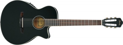 Photo of Ibanez AEG8TNE-BKF AEG Series 4/4 Slim Acoustic Electric Classical Guitar