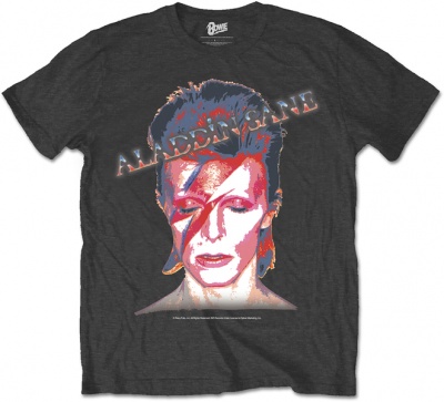 Photo of David Bowie - Aladdin Sane Mens Charcoal T-Shirt