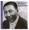 Muddy Waters - I Can't Be Satisfied Photo